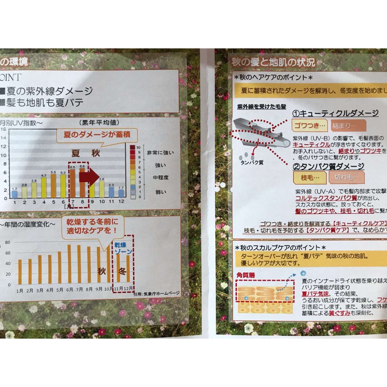 最近抜け毛が多い気がする…